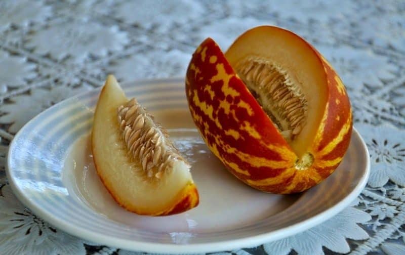 Description and characteristics of melon crossed with pineapple: what does the mini-fruit taste like?