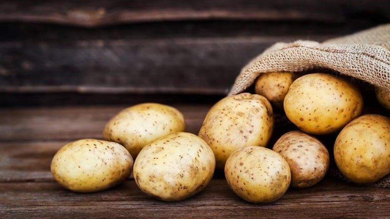 Features of storing potatoes: at what temperature do they freeze?