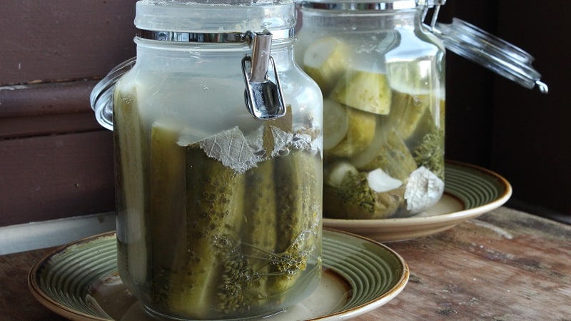Why mold might appear on pickled cucumbers and what to do about it