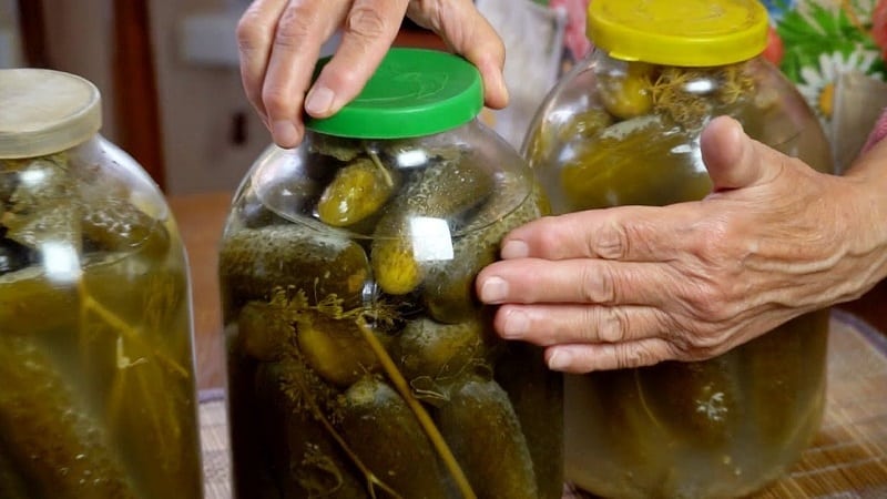 Why mold might appear on pickled cucumbers and what to do about it