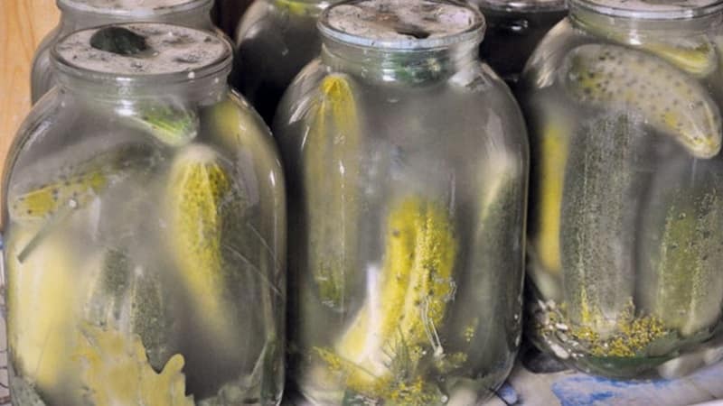 Why mold might appear on pickled cucumbers and what to do about it