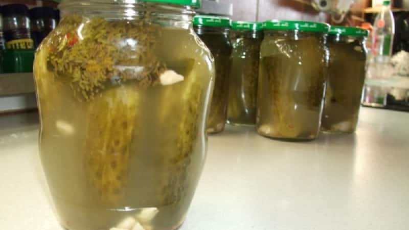 Why mold might appear on pickled cucumbers and what to do about it