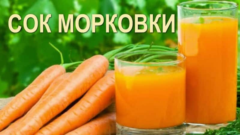 The benefits and harms of carrot juice: prepare and drink correctly with maximum therapeutic effect