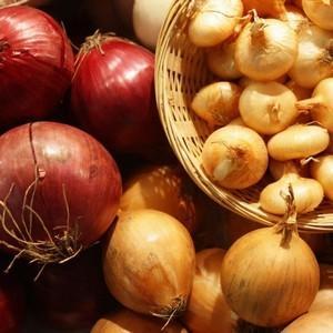 Step-by-step instructions on how to preserve onions for the winter at home