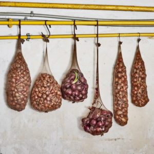 Step-by-step instructions on how to preserve onions for the winter at home