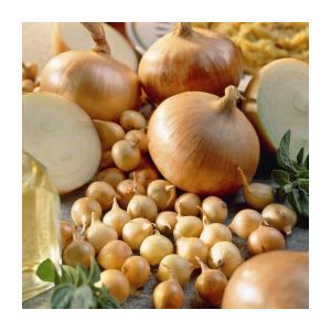 Step-by-step instructions on how to preserve onions for the winter at home