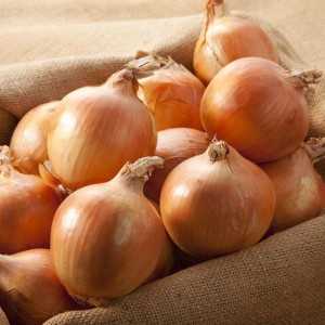 Step-by-step instructions on how to preserve onions for the winter at home