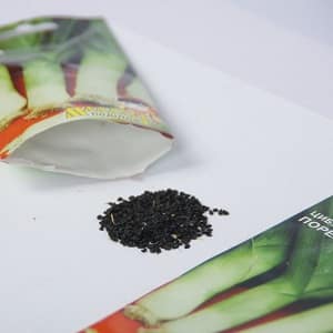 A step-by-step guide to growing leeks from seeds for beginner gardeners
