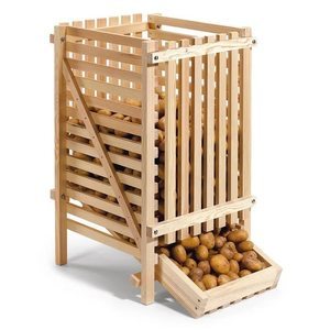 Rules for storing potatoes in the cellar