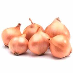 Early maturing, frost-resistant winter onion variety Shakespeare