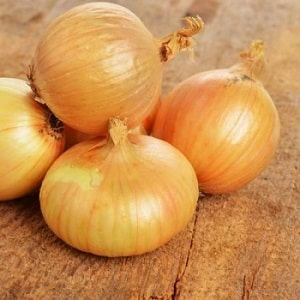 Early ripening onion variety for universal use Strigunovsky local