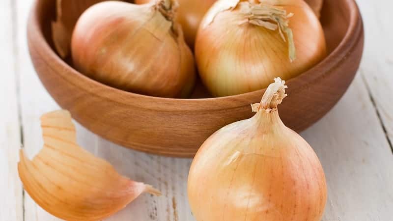 Early ripening onion variety for universal use Strigunovsky local