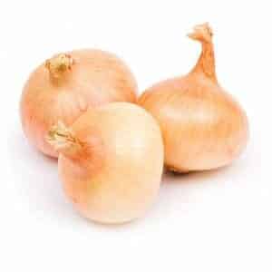High-yielding and cold-resistant onion variety Stuttgarter Riesen