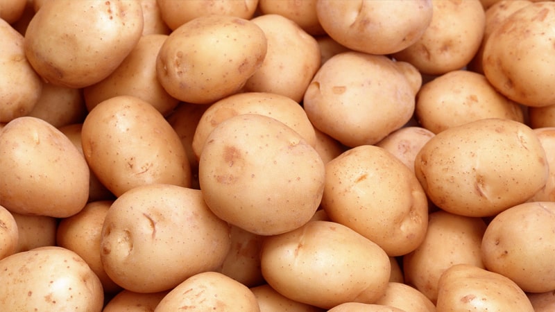 Comparison of rice and potatoes: which is healthier and higher in calories