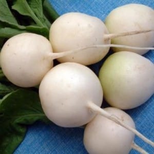 What is special about white radishes: description and characteristics of varieties