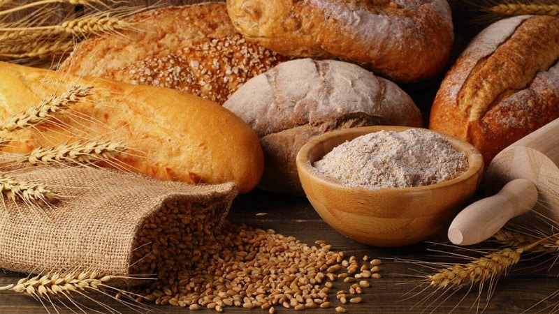 What is the difference between barley, wheat and other grains