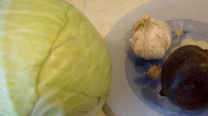 How delicious and easy it is to pickle cabbage for the winter using quartered heads of cabbage