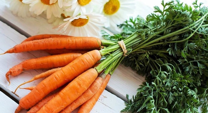 Secrets of proper consumption of carrots so that they are better absorbed