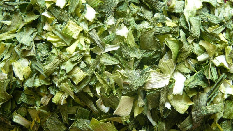 How to preserve leeks for the winter: drying, freezing and the best preparation recipes