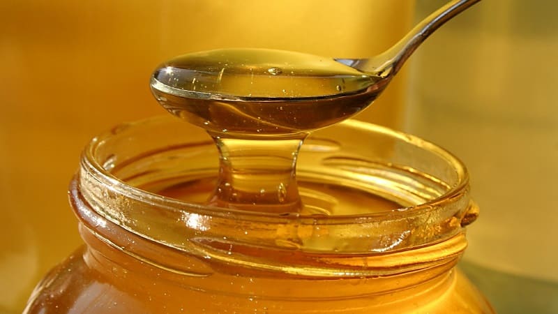How to properly prepare and use onions with honey for coughs