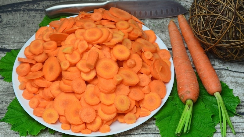 Shelf life of carrots in the refrigerator and how to do it correctly