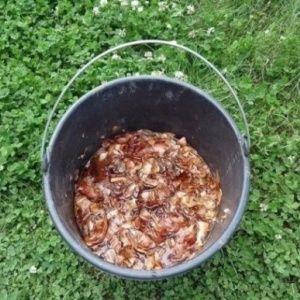 What is the benefit of onion peel decoction and how can it be used?