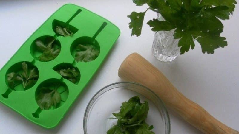 Beneficial properties of parsley for women