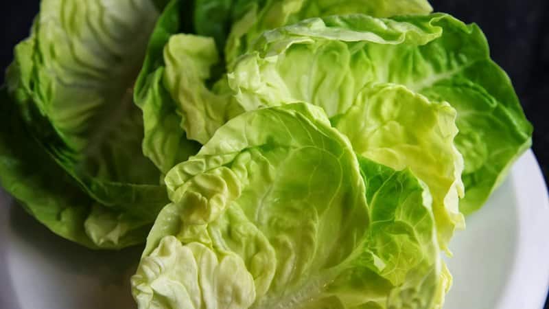 Comment faire du crumble à partir de feuilles de chou vert pour l'hiver