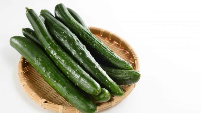 The best varieties of Chinese cucumbers: description and photo