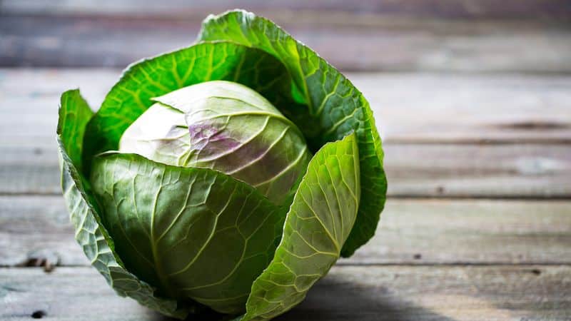 How to properly ferment cabbage with heads of cabbage: step-by-step instructions and recipe options