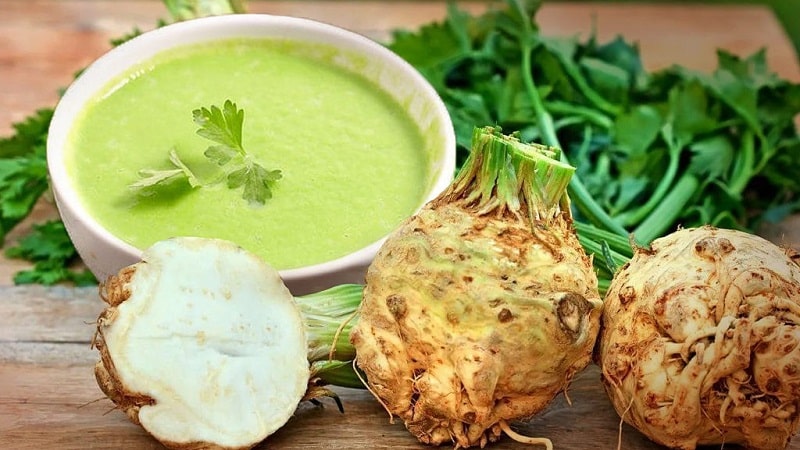 What are the benefits of celery root and how to use it correctly