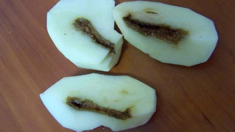 What to do if the potatoes inside become empty and why this happens