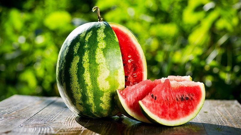 What is a watermelon: what family do the fruits belong to, what are they and how are they useful?