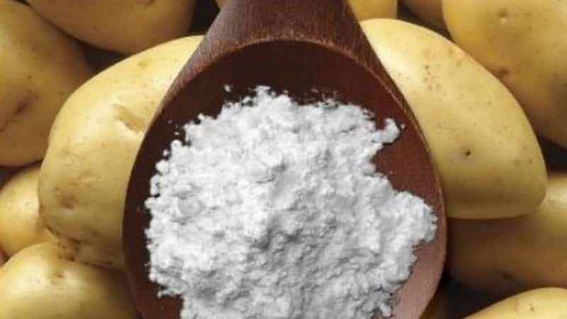 What is potato starch used for and what can be made from it?