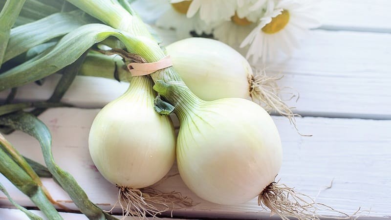 What can you use white onion for?