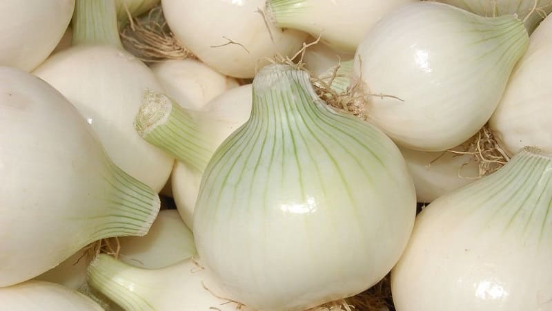 What can you use white onion for?