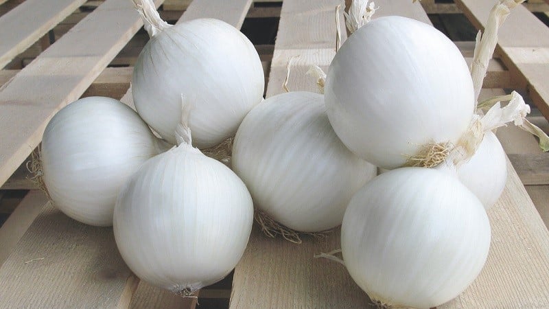 What can you use white onion for?