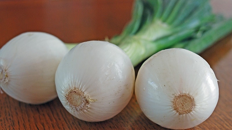 What can you use white onion for?