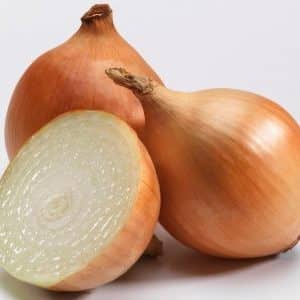 Early high-yielding hybrid of onion Cupido for growing in a greenhouse and in open ground