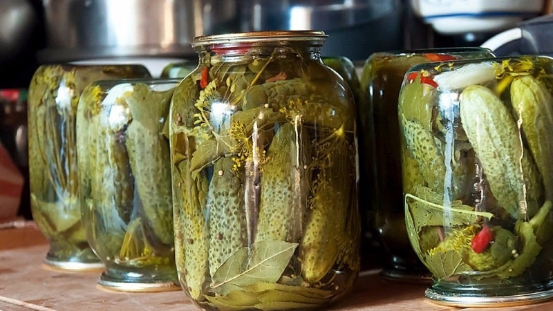 Recipes for preparing the most delicious cucumbers without vinegar for the winter