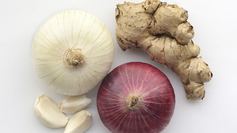 How to properly prepare and use onions with sugar for cough
