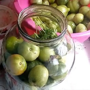 How to cook green tomatoes for the winter: simple, but unusual and tasty recipes from around the world