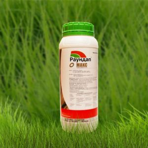 How to Apply Weed Killer Herbicides to Potatoes