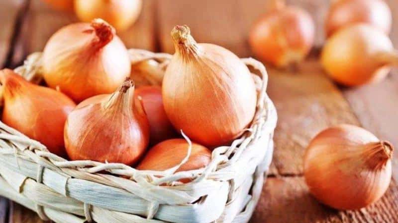 How to use onion peels for prostatitis: traditional medicine recipes for men
