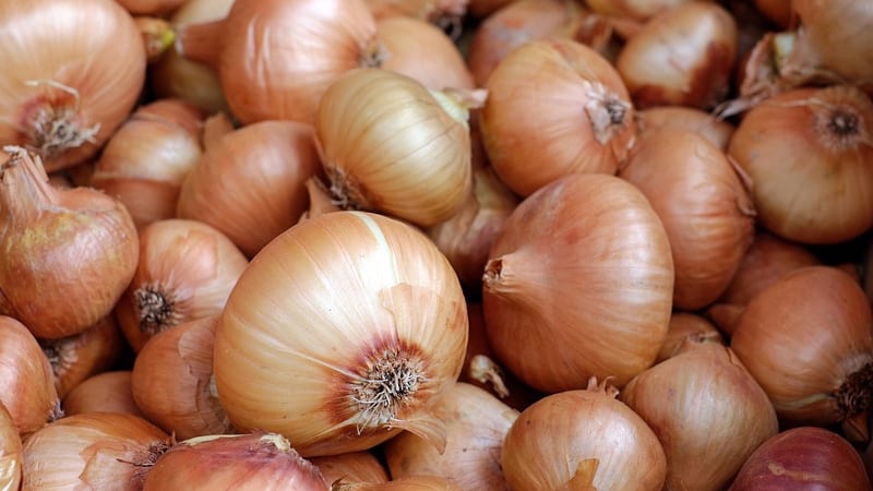 How to use onion peels for prostatitis: traditional medicine recipes for men