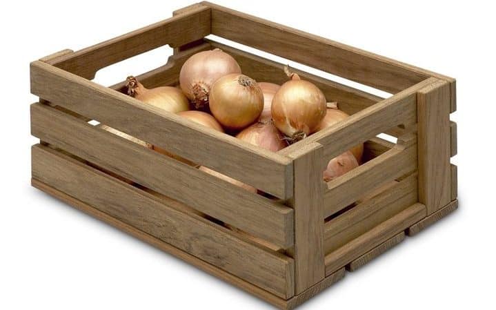 Best recommendations: how to preserve onions at home in an apartment