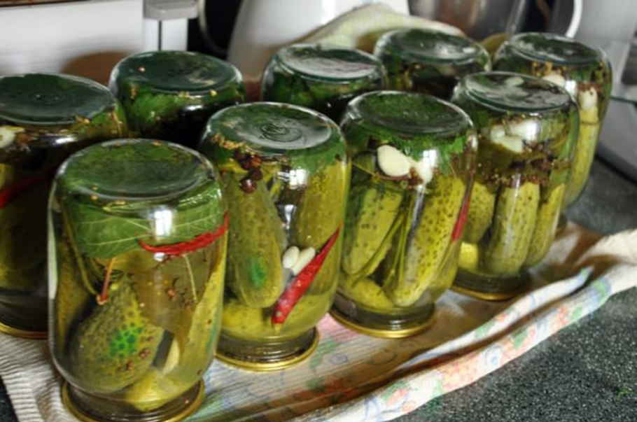 How to pickle bitter cucumbers for the winter and is it possible to do it?
