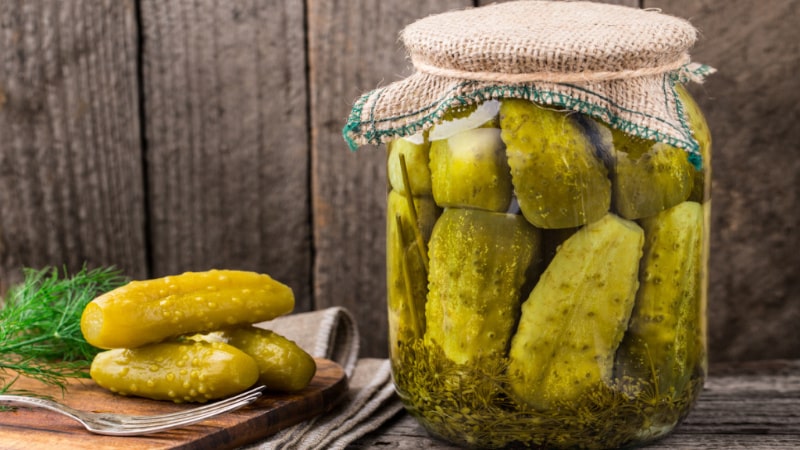 Making crispy preparations for the winter: how to pickle cucumbers correctly, the best recipes