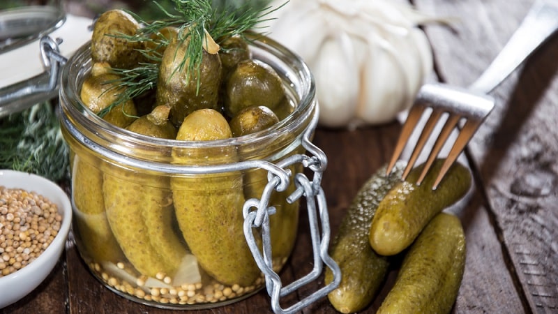 Making crispy preparations for the winter: how to pickle cucumbers correctly, the best recipes