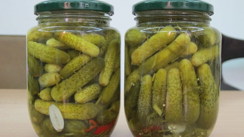 Making crispy preparations for the winter: how to pickle cucumbers correctly, the best recipes